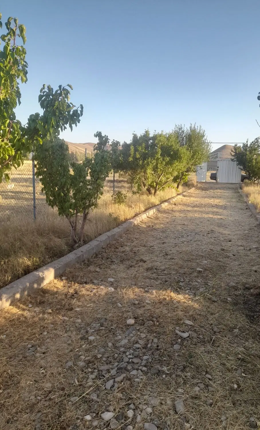 اسپیران۵۸۳متر باغ آماده باسند