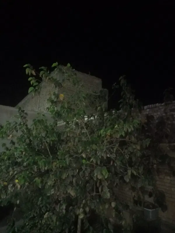 زمین مسکونی