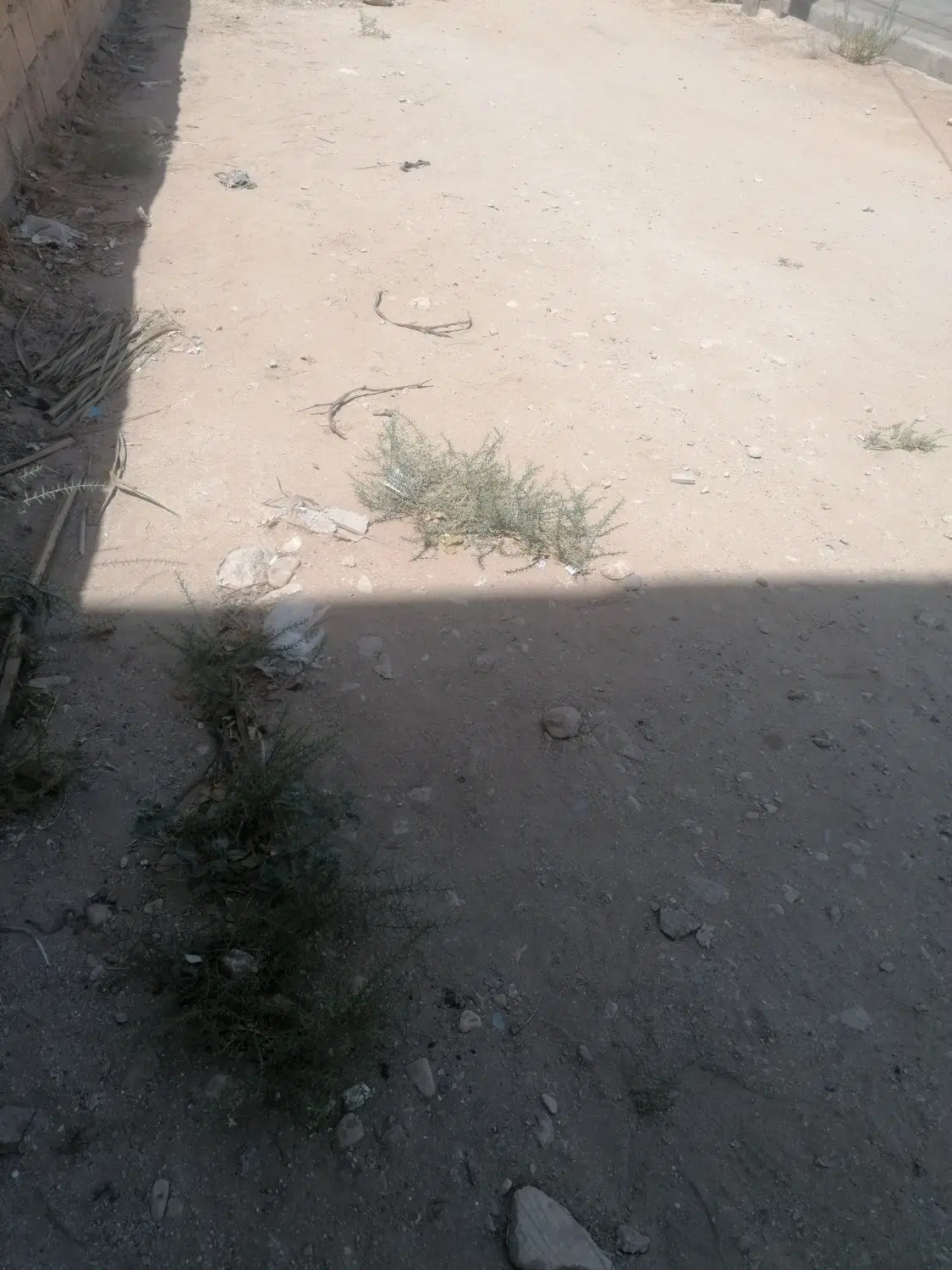 زمین مسکونی