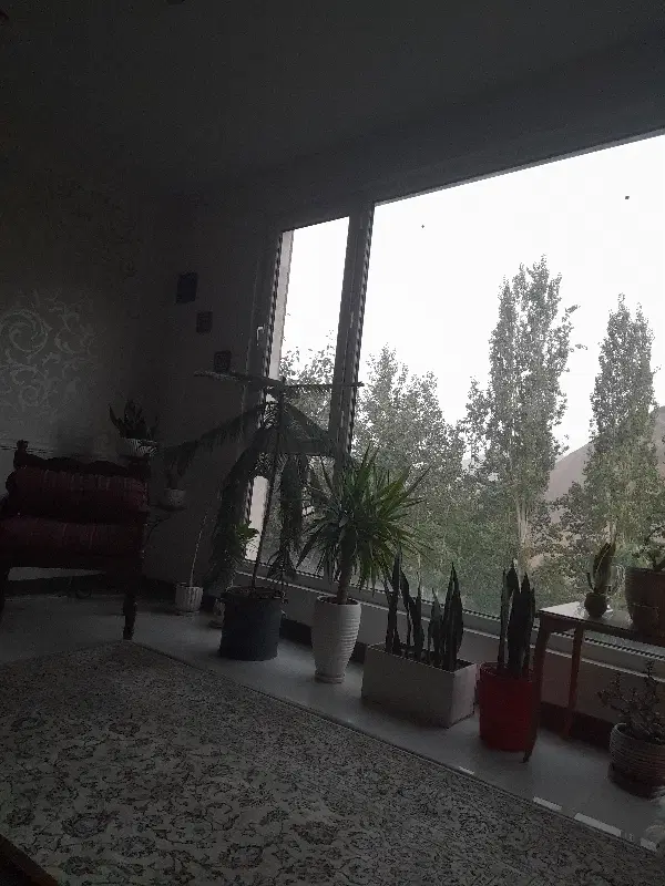 خانه دارم همخانه میخام