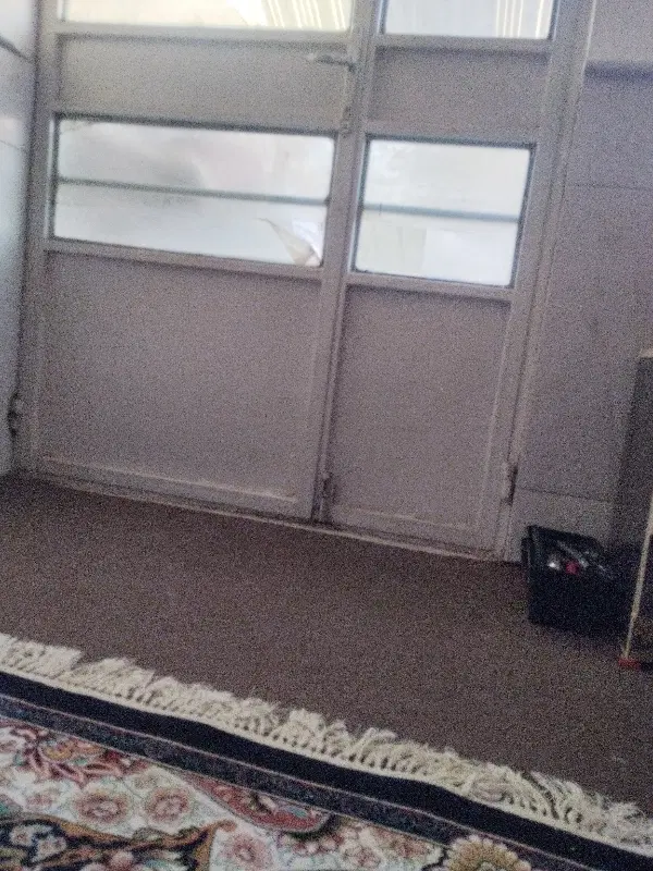 همخانه خانم جوان