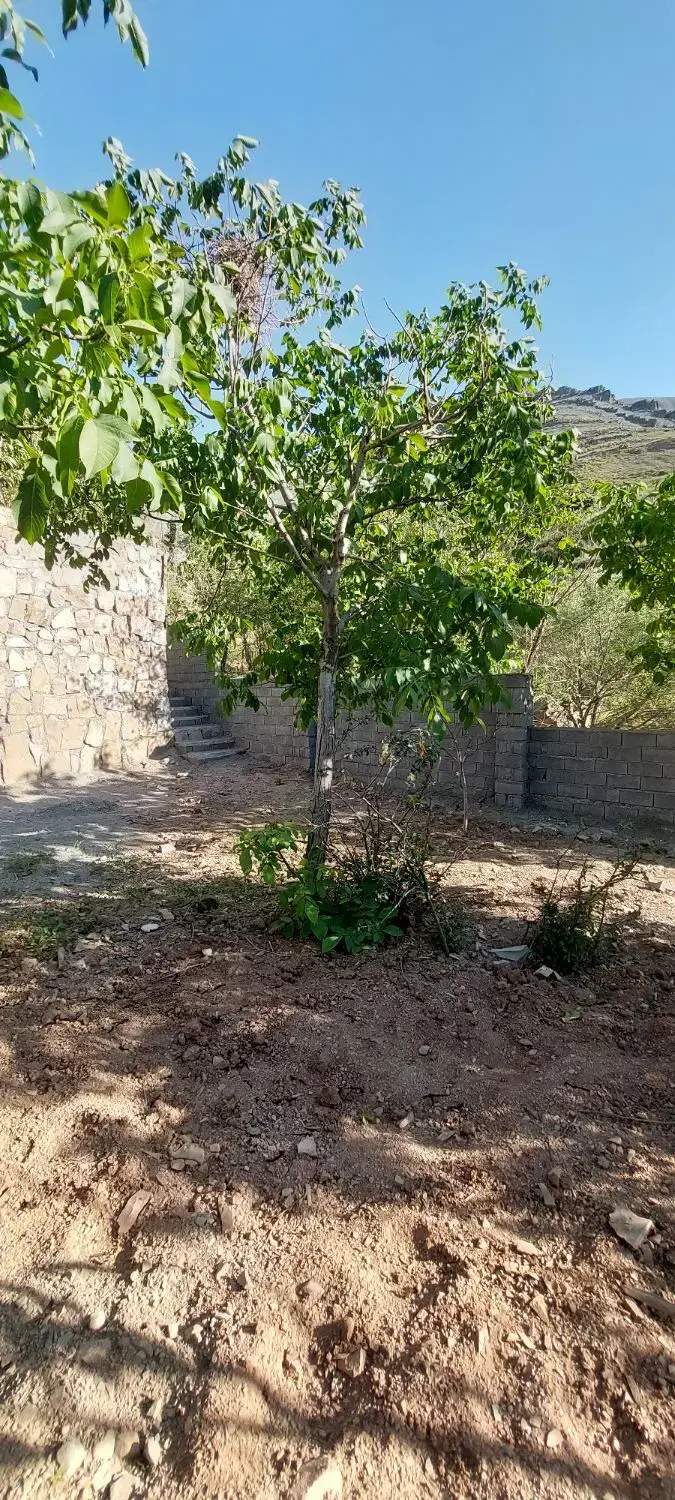 اوشان فشم امامه دارکیا ۲۲۰متر باغ ماشین رو اقساطی