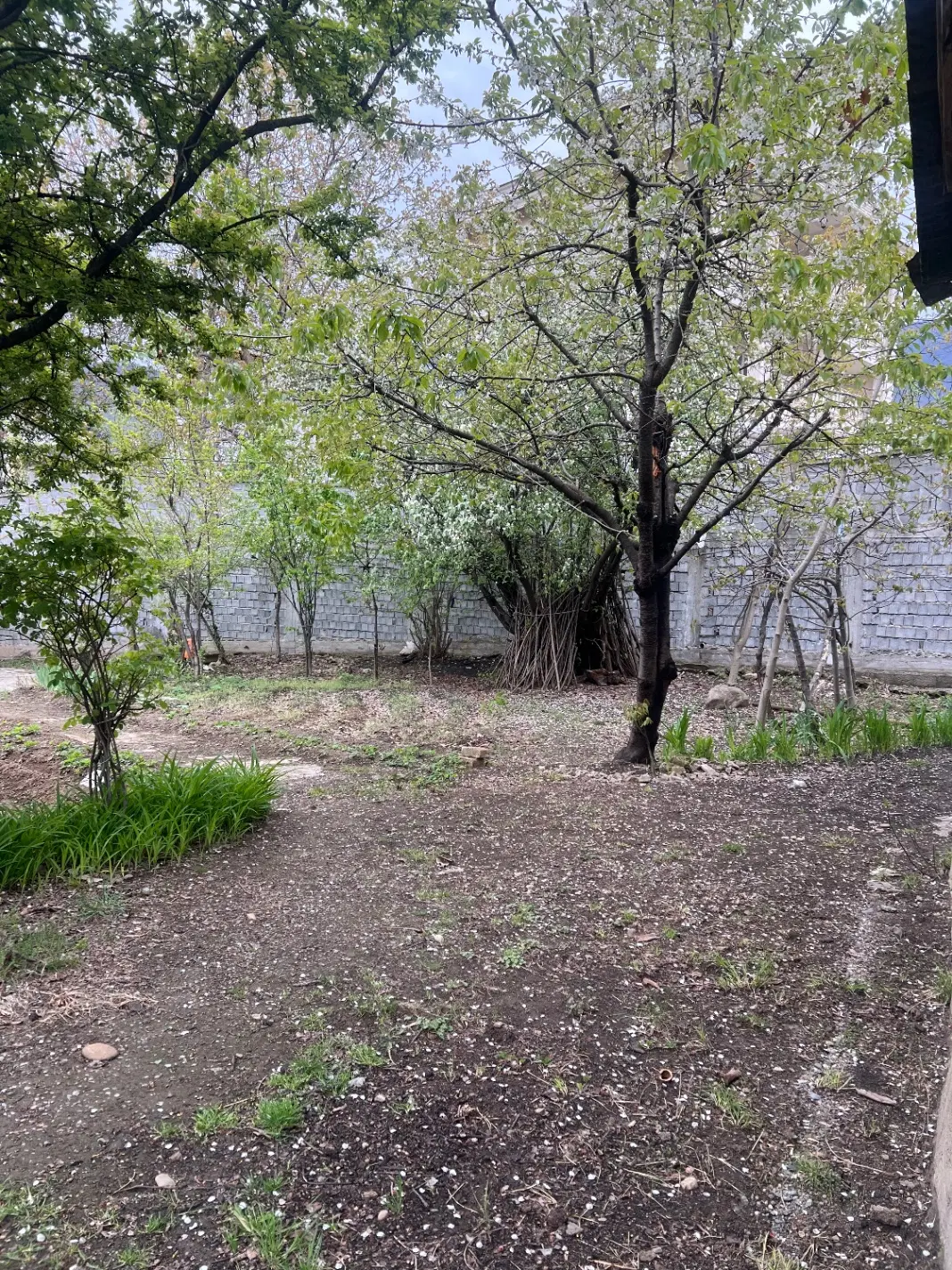 زمین نیم تجاری  واقع‌در کلاردشت
