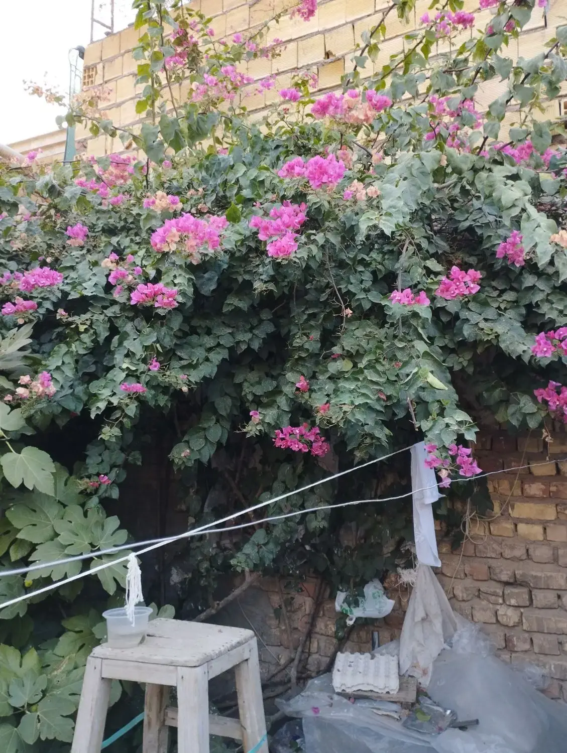 منزل مسکونی دربست مشکات