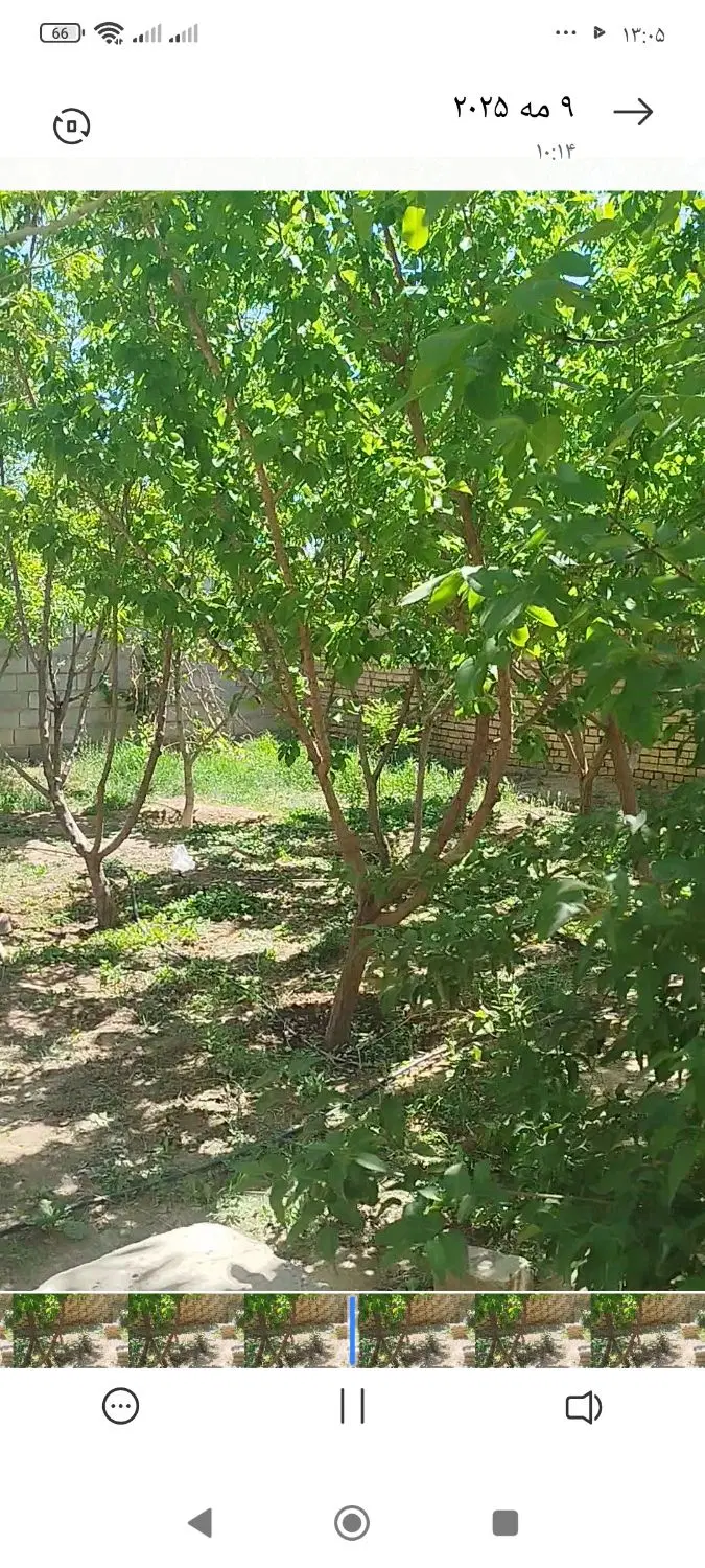فروش ملک ویلایی