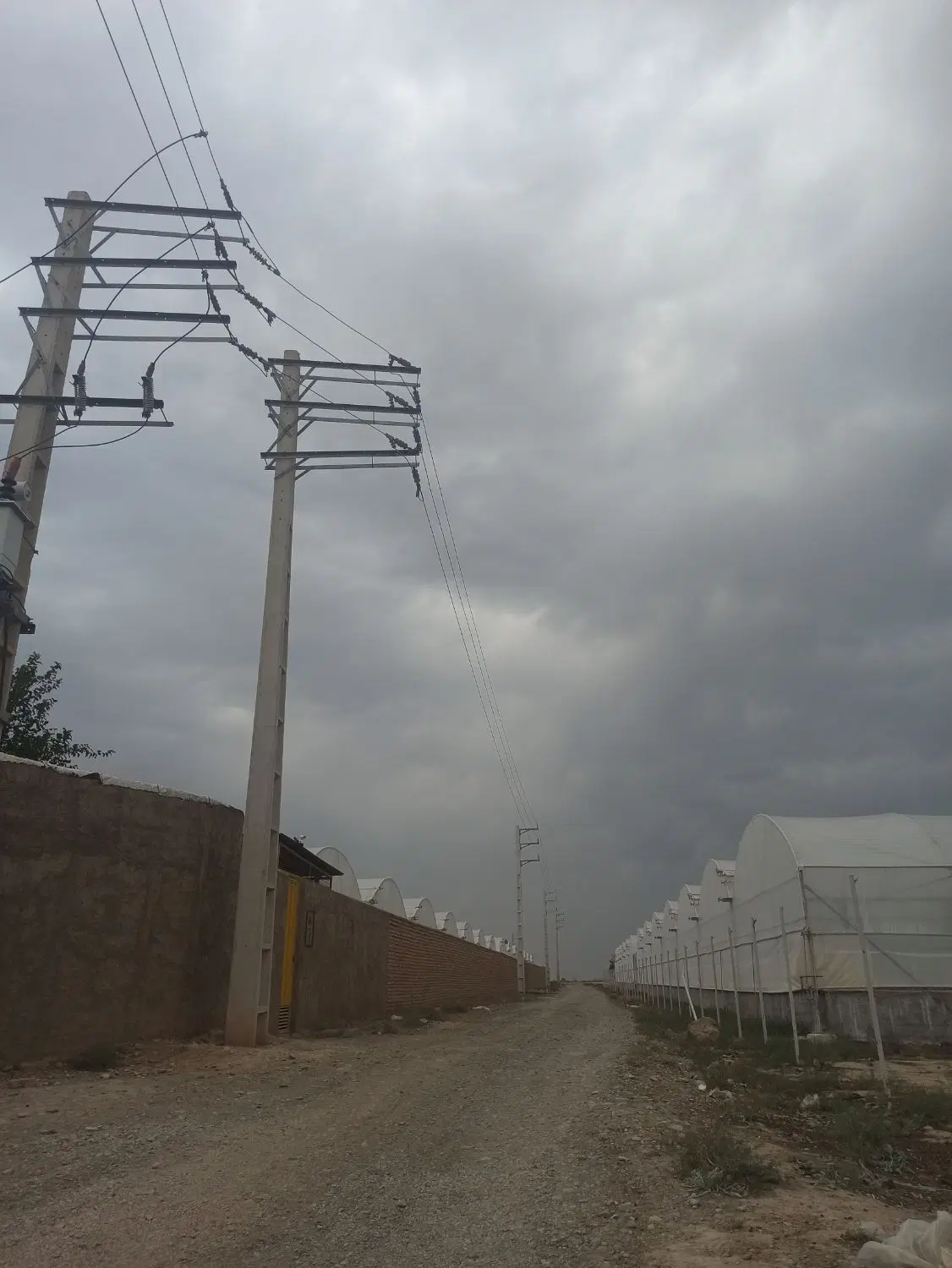 ۱۲۰۰۰ متر زمین کشاورزی