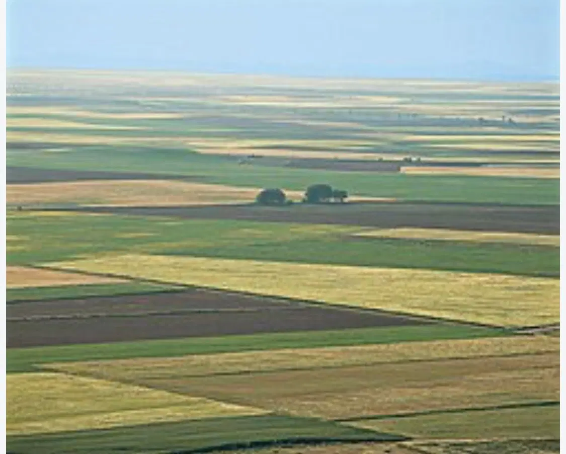 زمین کشاورزی