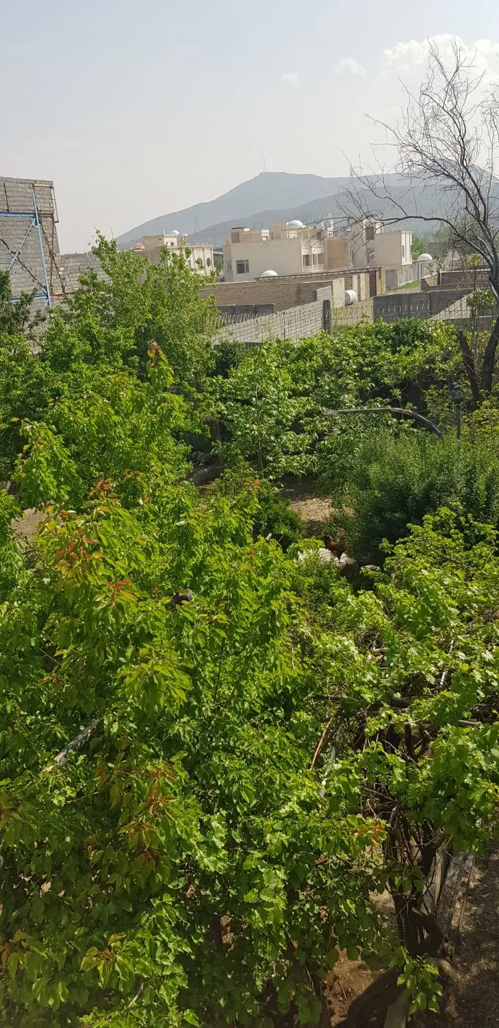 یک قطعه زمین ۵۰۰متر