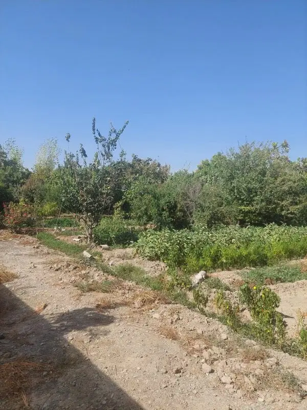 ۴۰۰ متر زمین چهاردیواری فقط ۱ میلیارد