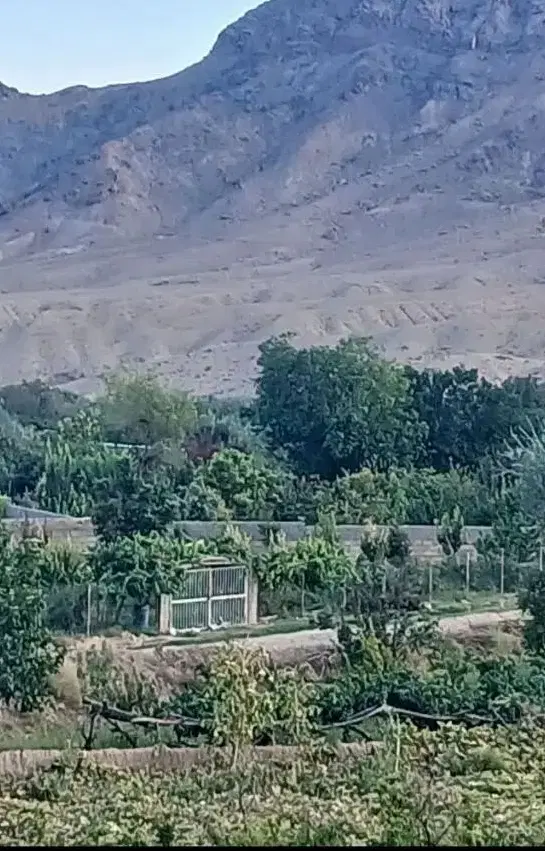 زمین وباغ چهل تن