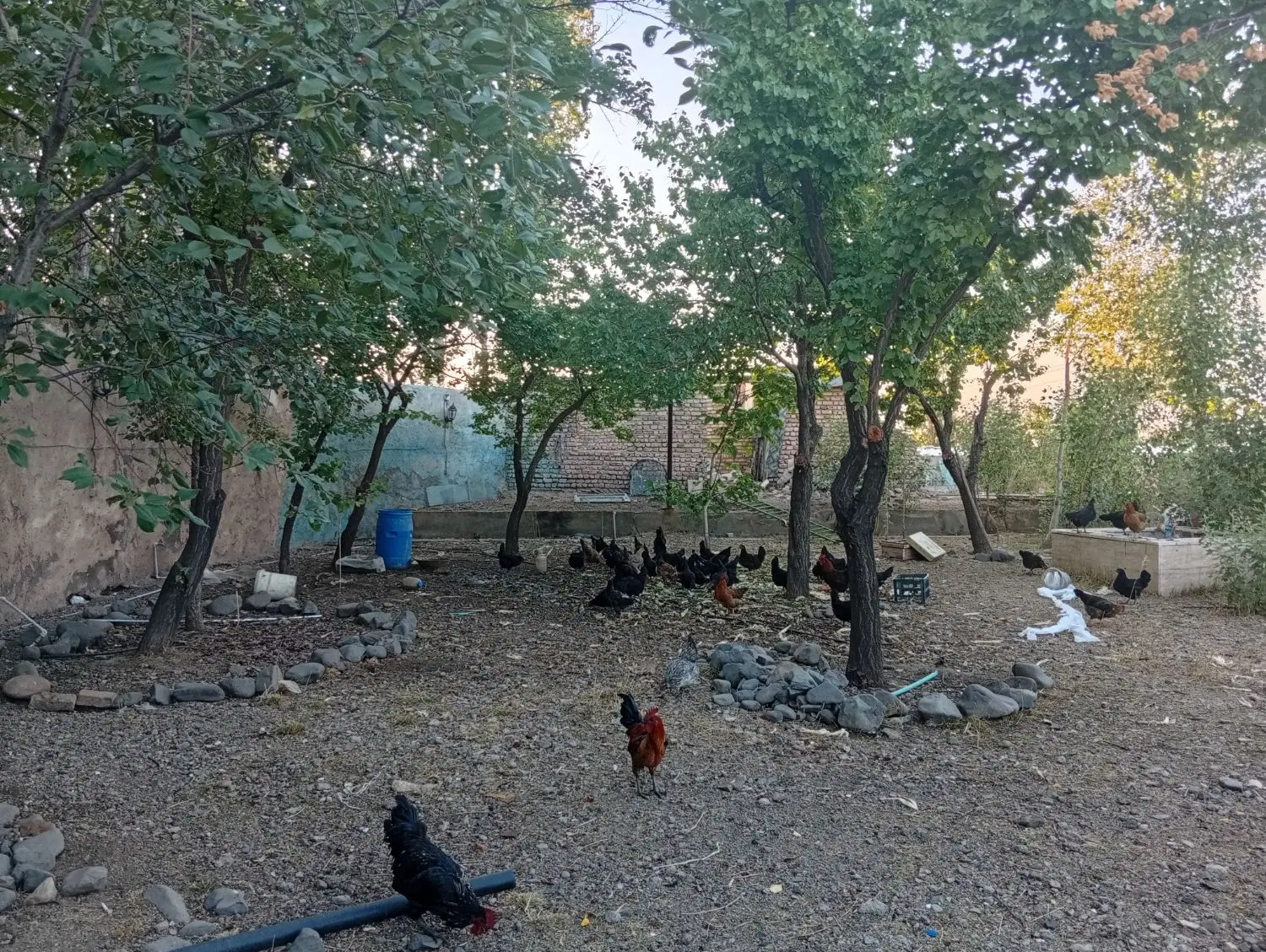 باغ رستوران