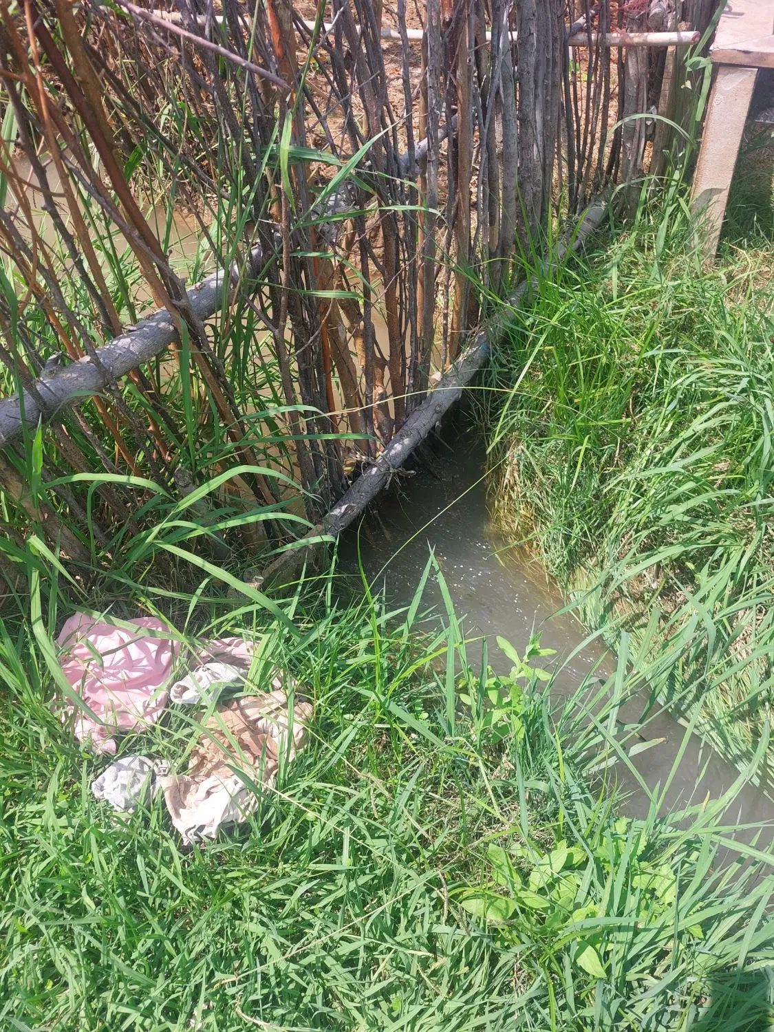 زمین بین خانه ویلاهایه روستا( جاده پهن۶متری)