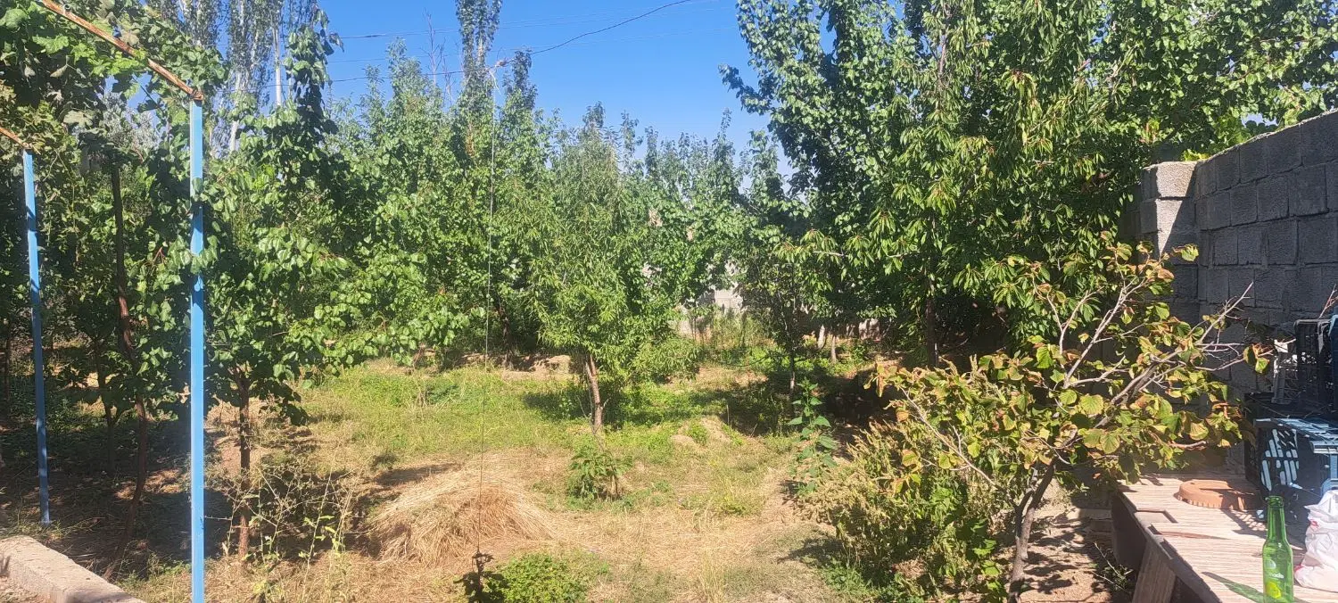 خانه باغ ویلایی