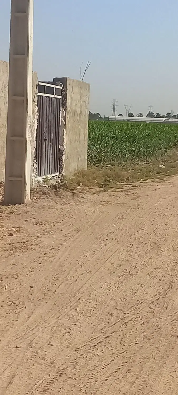۳۰۰مترچهاردیواری شهرستانک