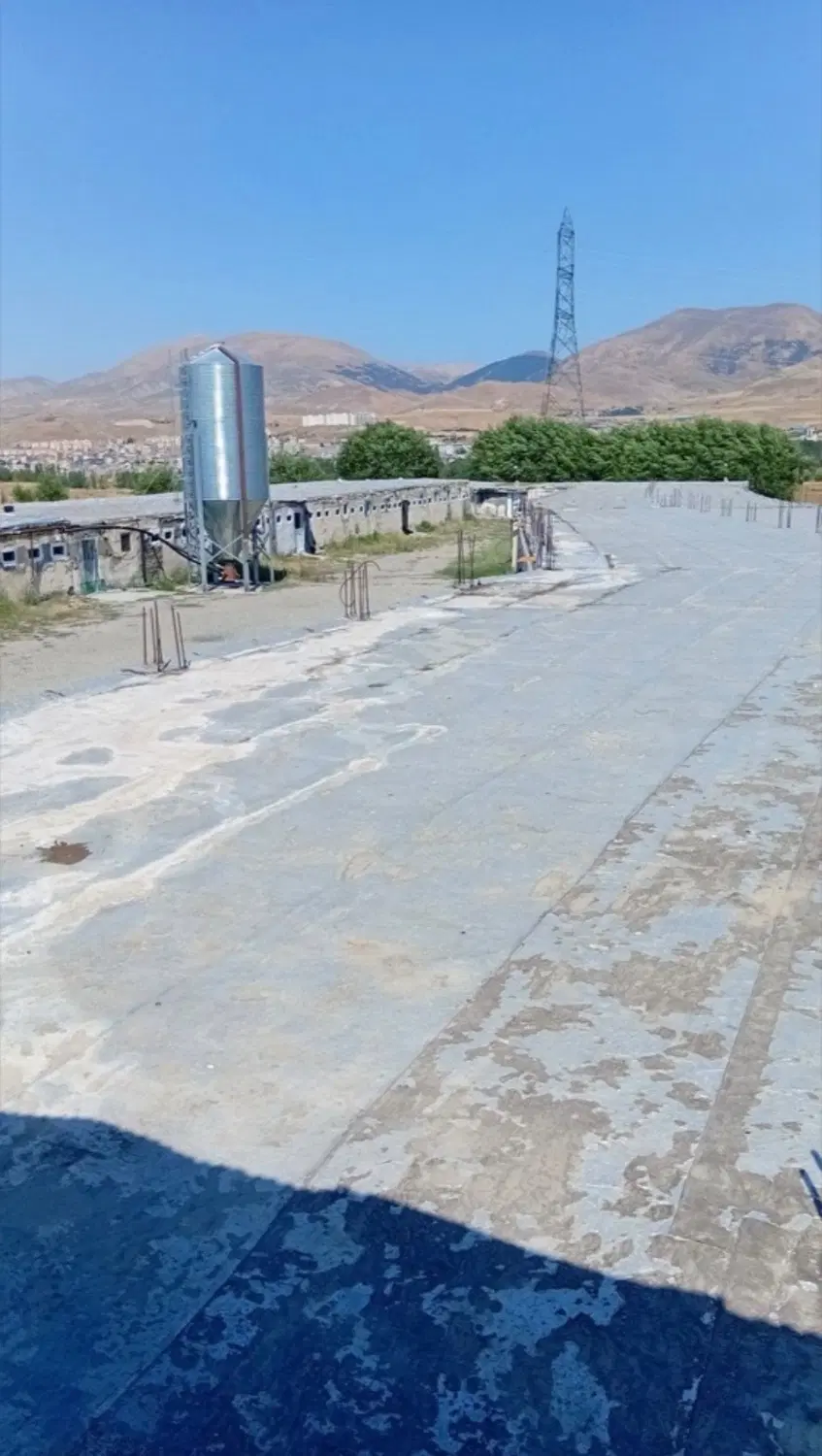 فروش مرغداری سی هزار قطعه گوشتی فعال