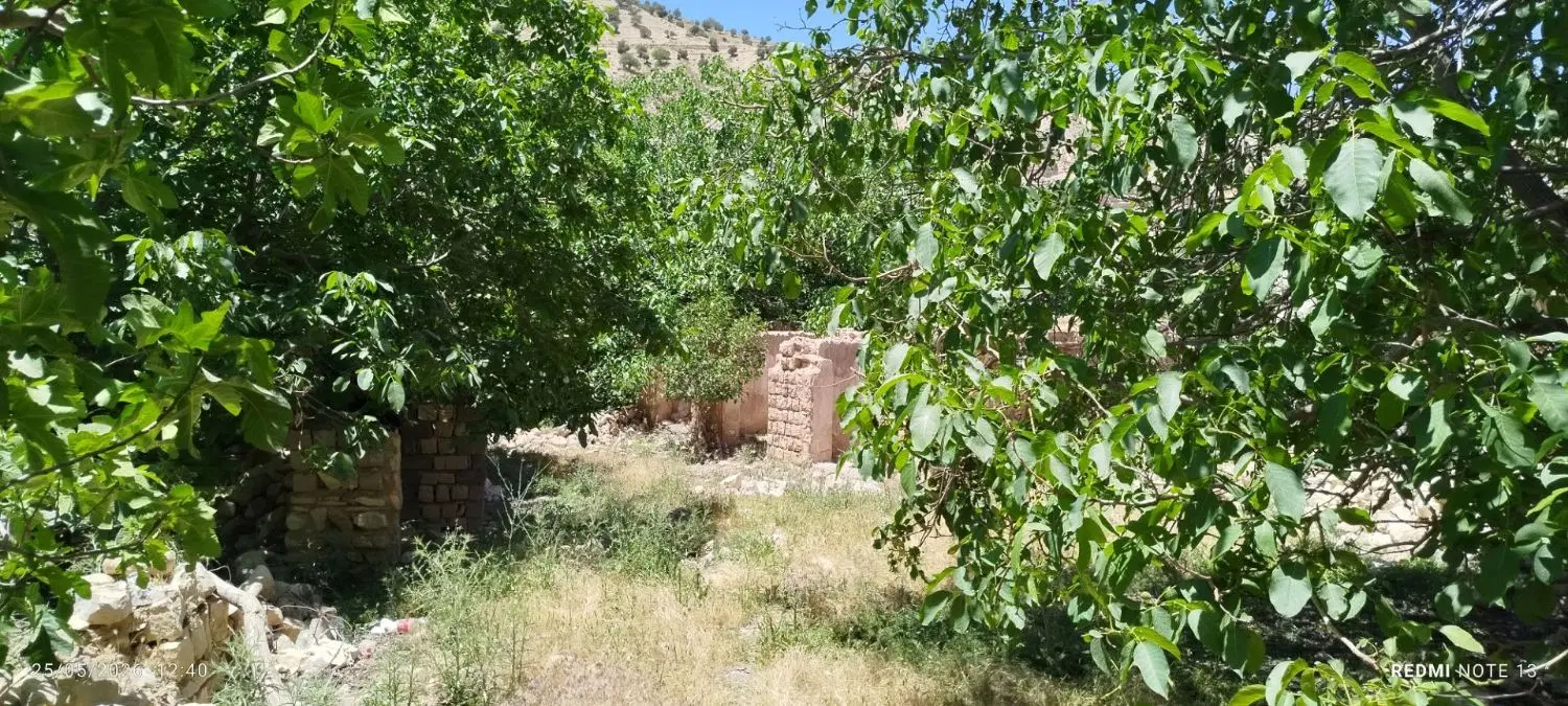 زمین کلنگی واسه خونه باغ