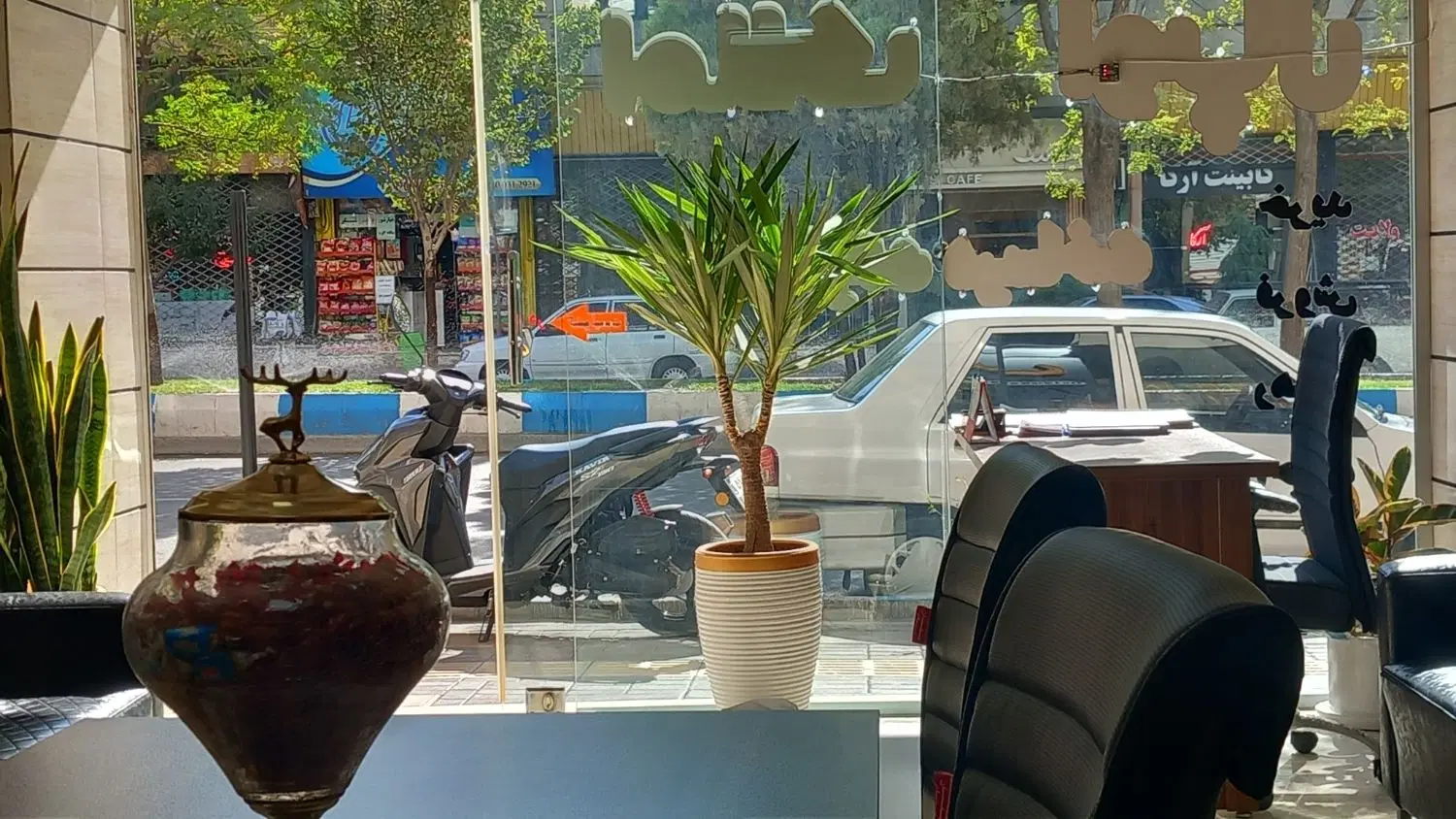 زمین منطقه هشت محمدیه شش دانگ 1500متری