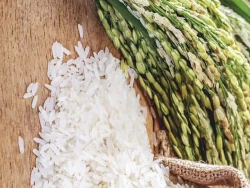 رهن برنج کوبی