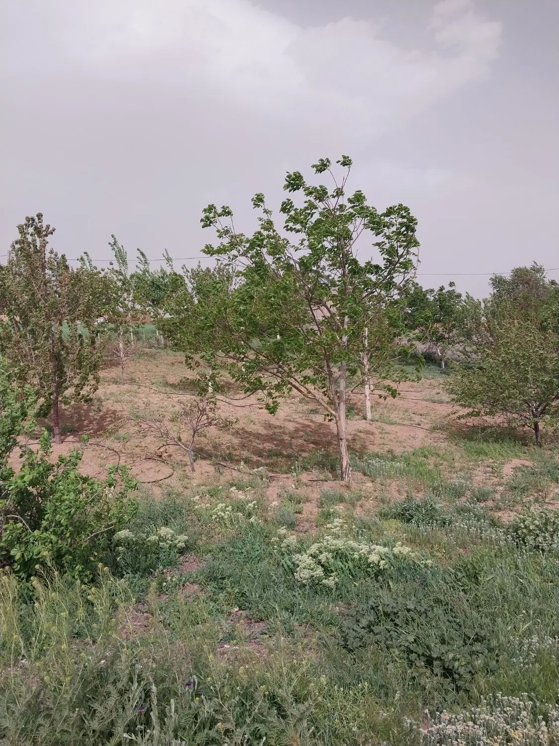 خانه روستای