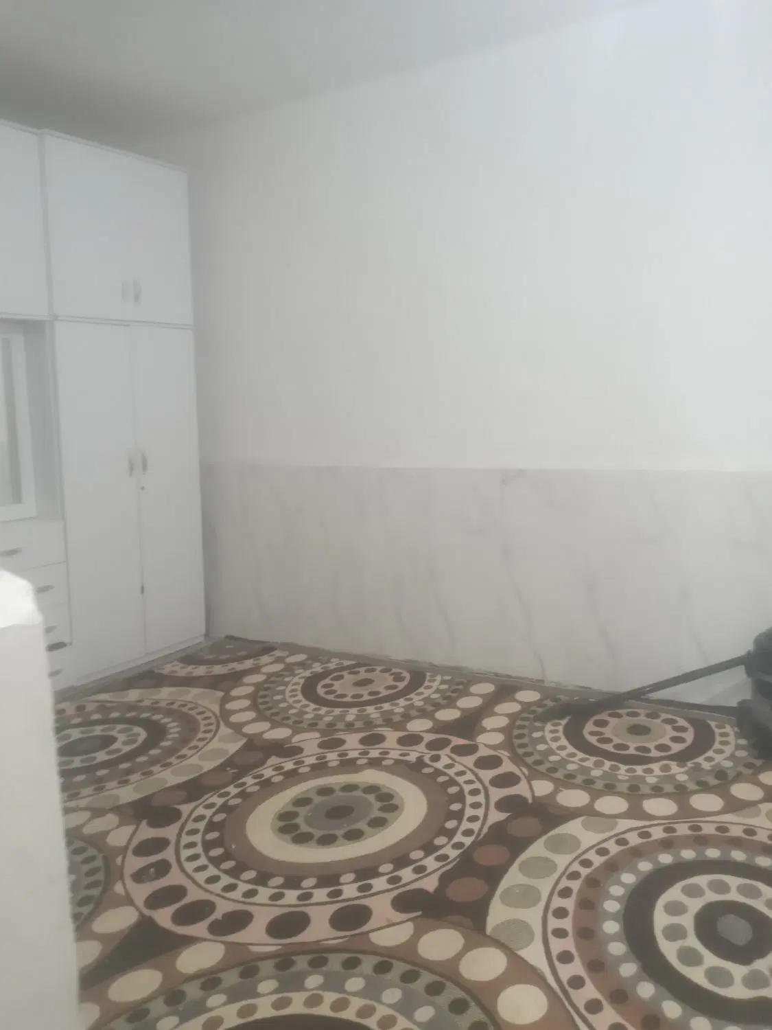 خانه گاومیش اباد