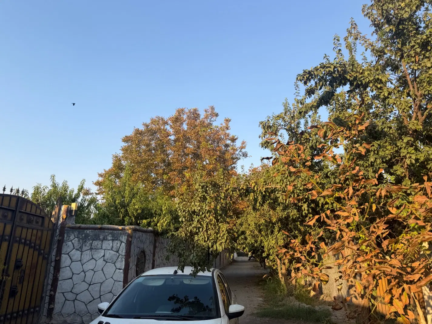 ویلای شهرکی چناران