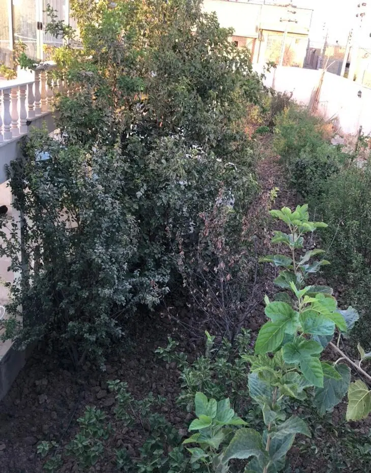 منزل کوچه ماهباف حیاط دار