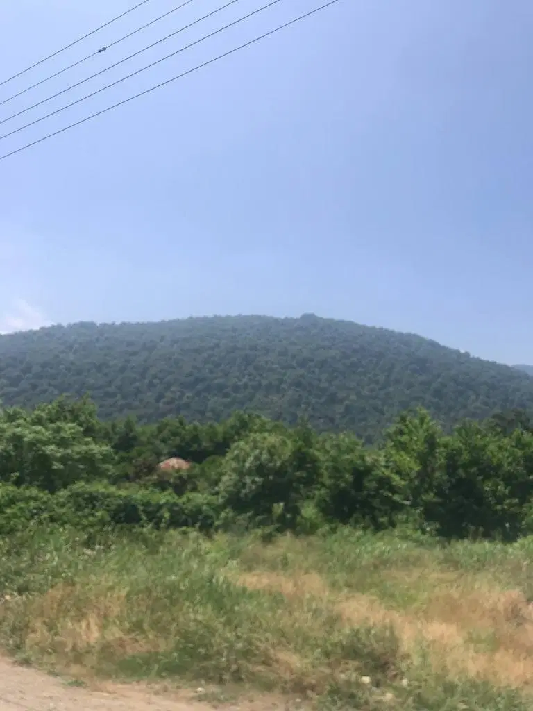 فروش پلاک کاسبی