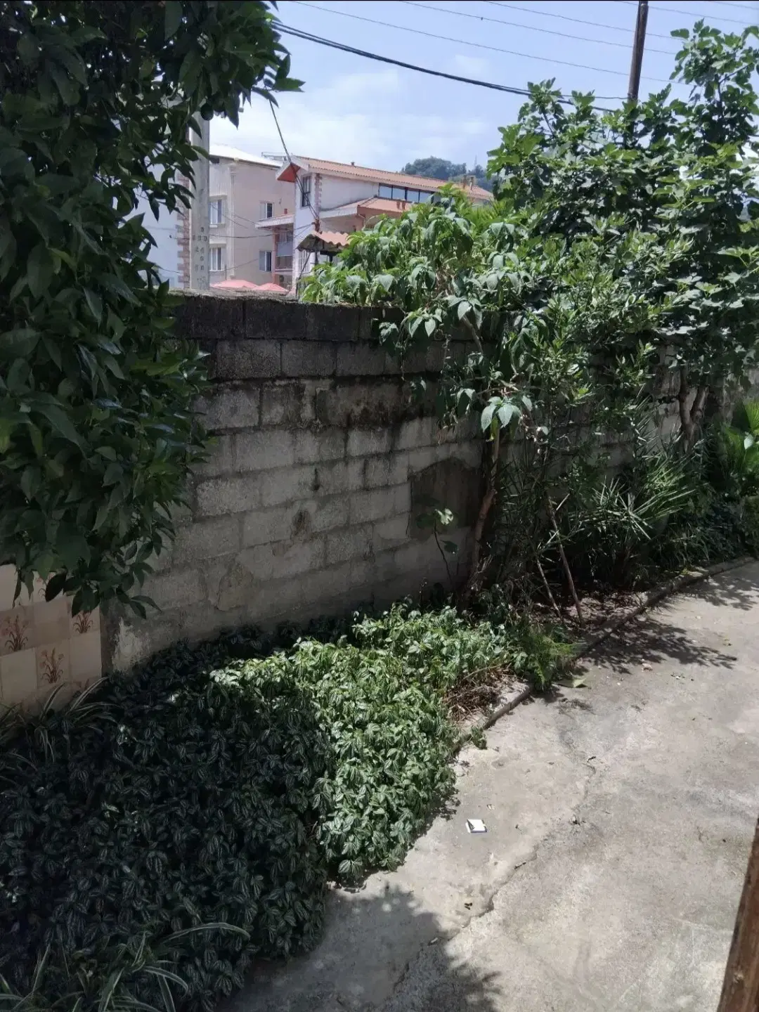 رهن اجاره ویلایی