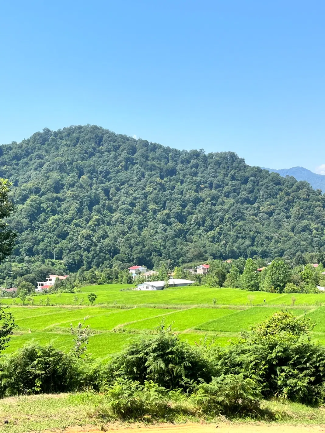 فروش زمین روستایی با کاربری