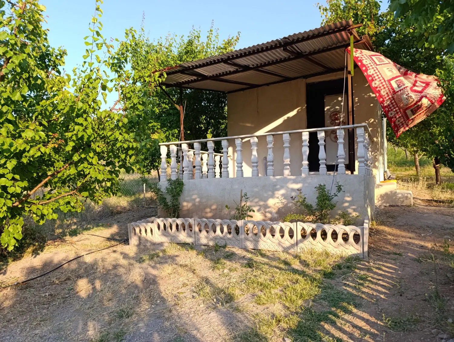 باغ ۱۰۰۰متری