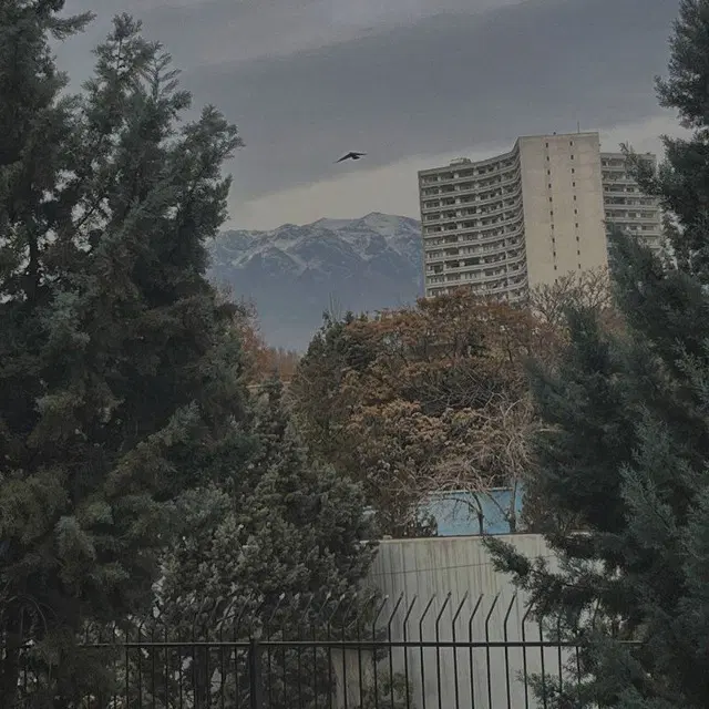 مغازه در جاده شهید کلانتری