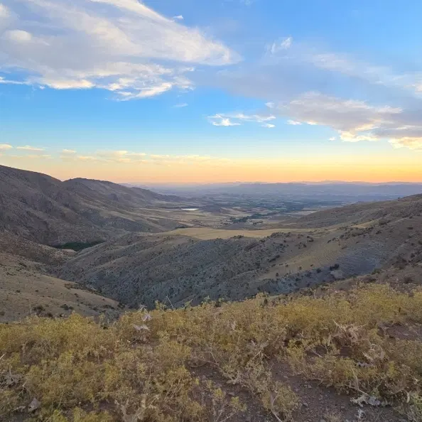 کارشناسی انواع مسکن ملی