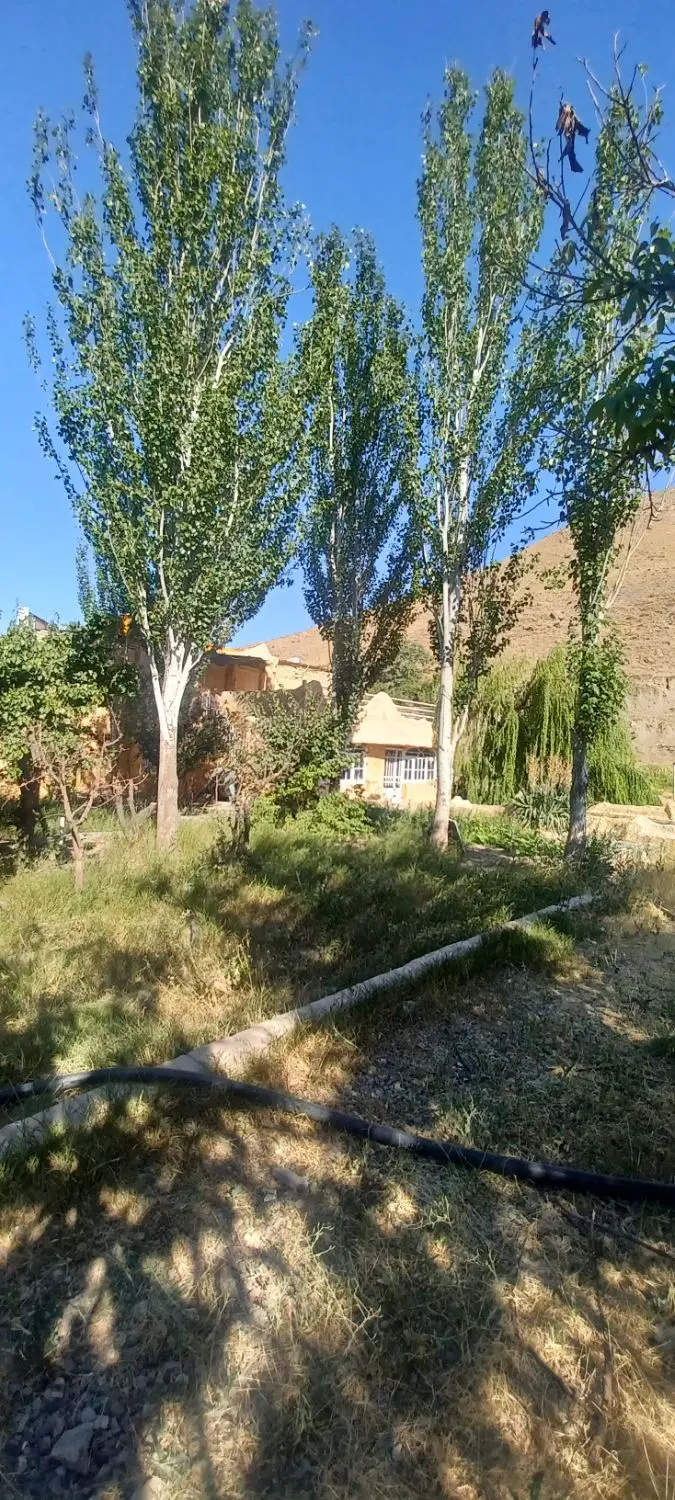 باغ ویلا روستای عارفی
