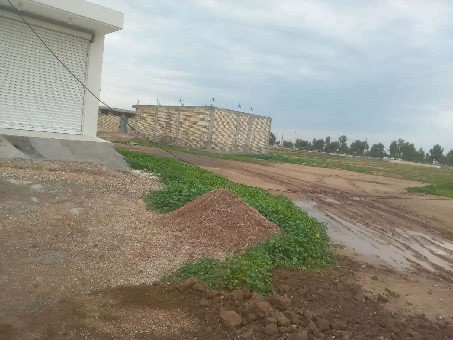 زمین جای ذرت