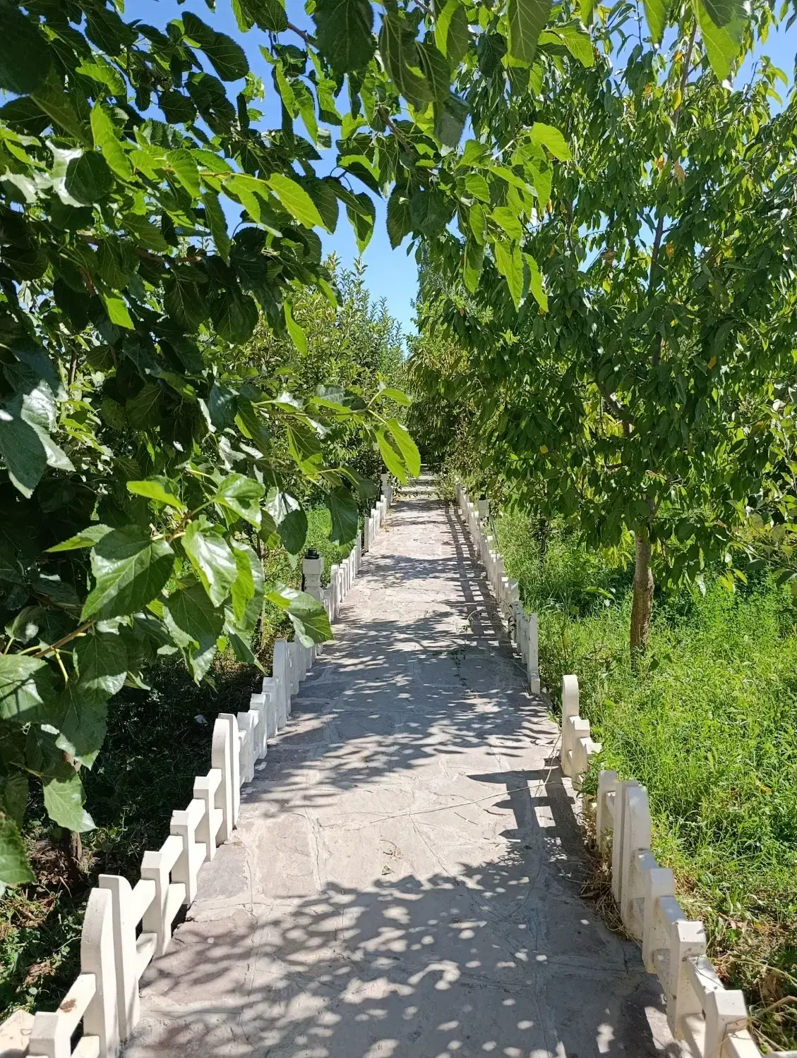 باغ ویلا (۲۰۰۰ متر) اندرخ
