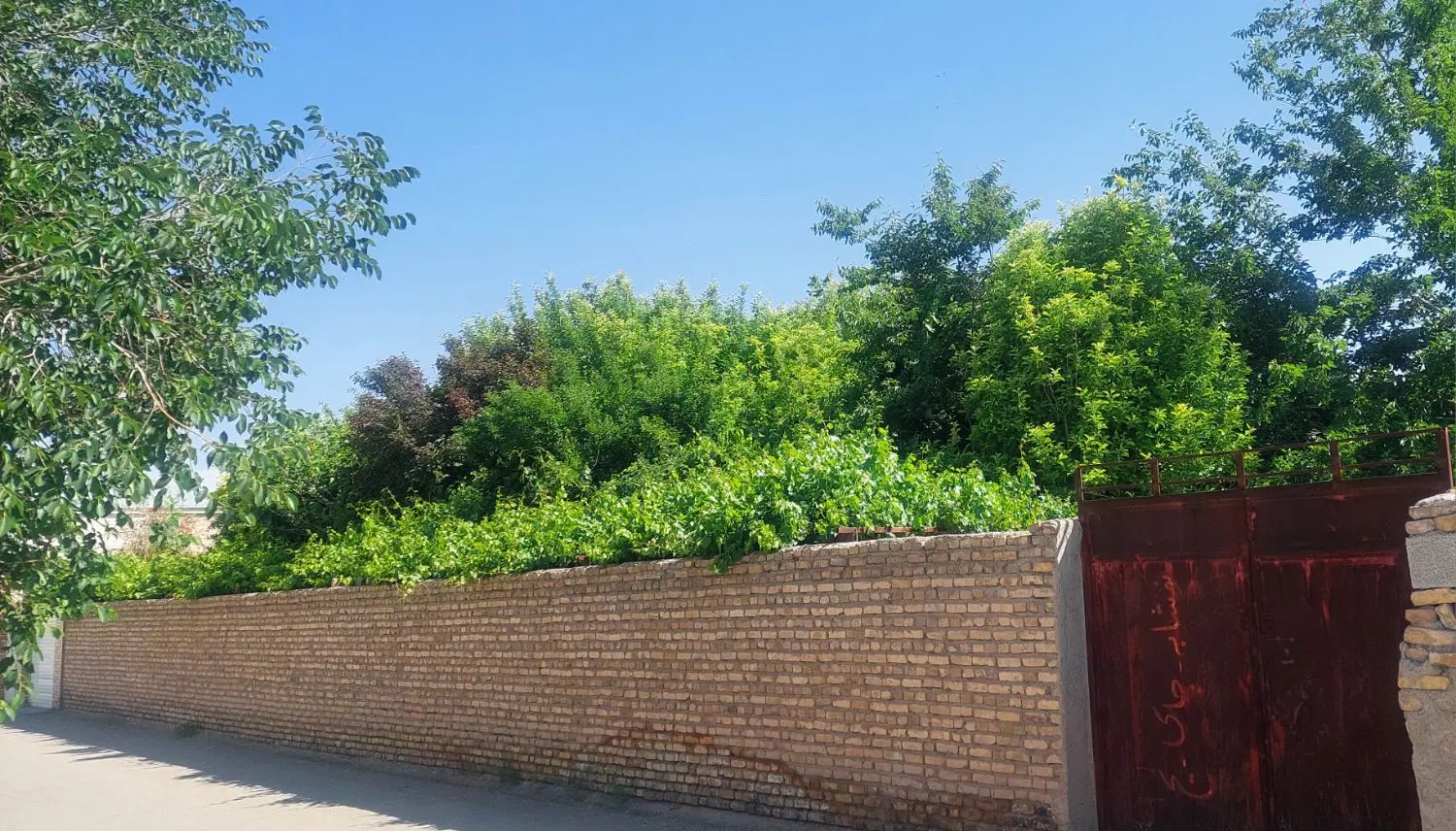 ۴۰ قصب خونه باغ زیداباد