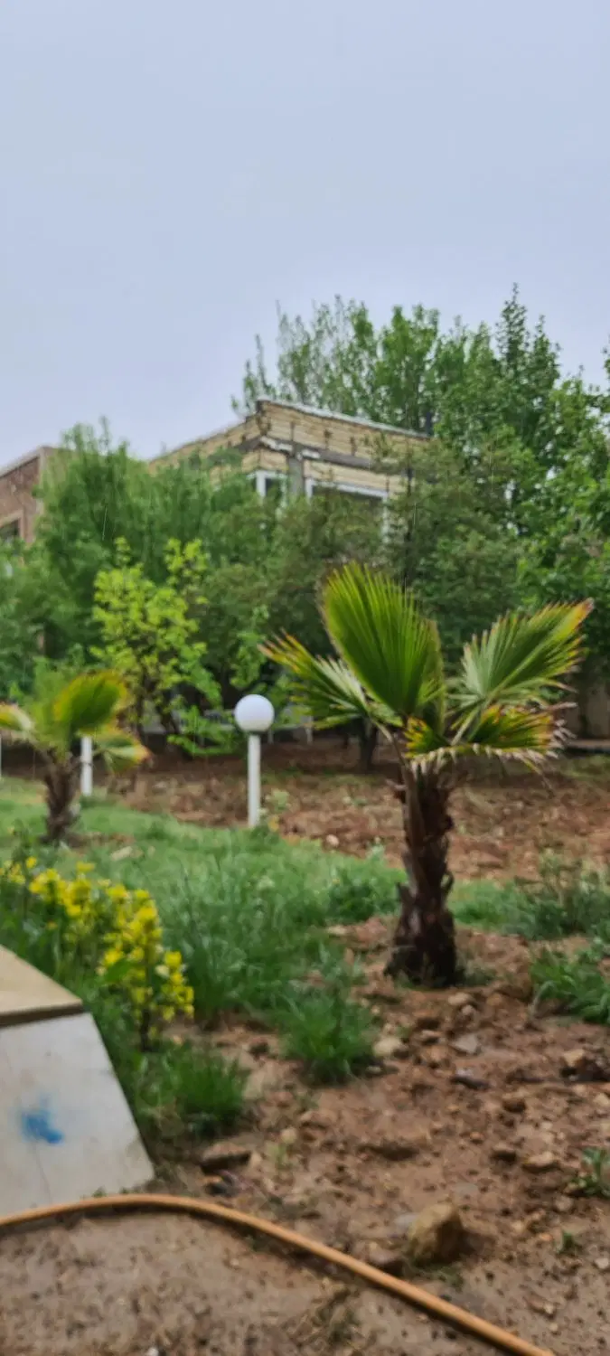 فروش زمین ملکی استثنایی