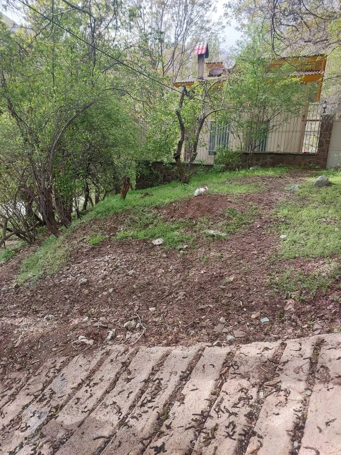 زمین  داخل بافت اطراف ویلا سازی شده