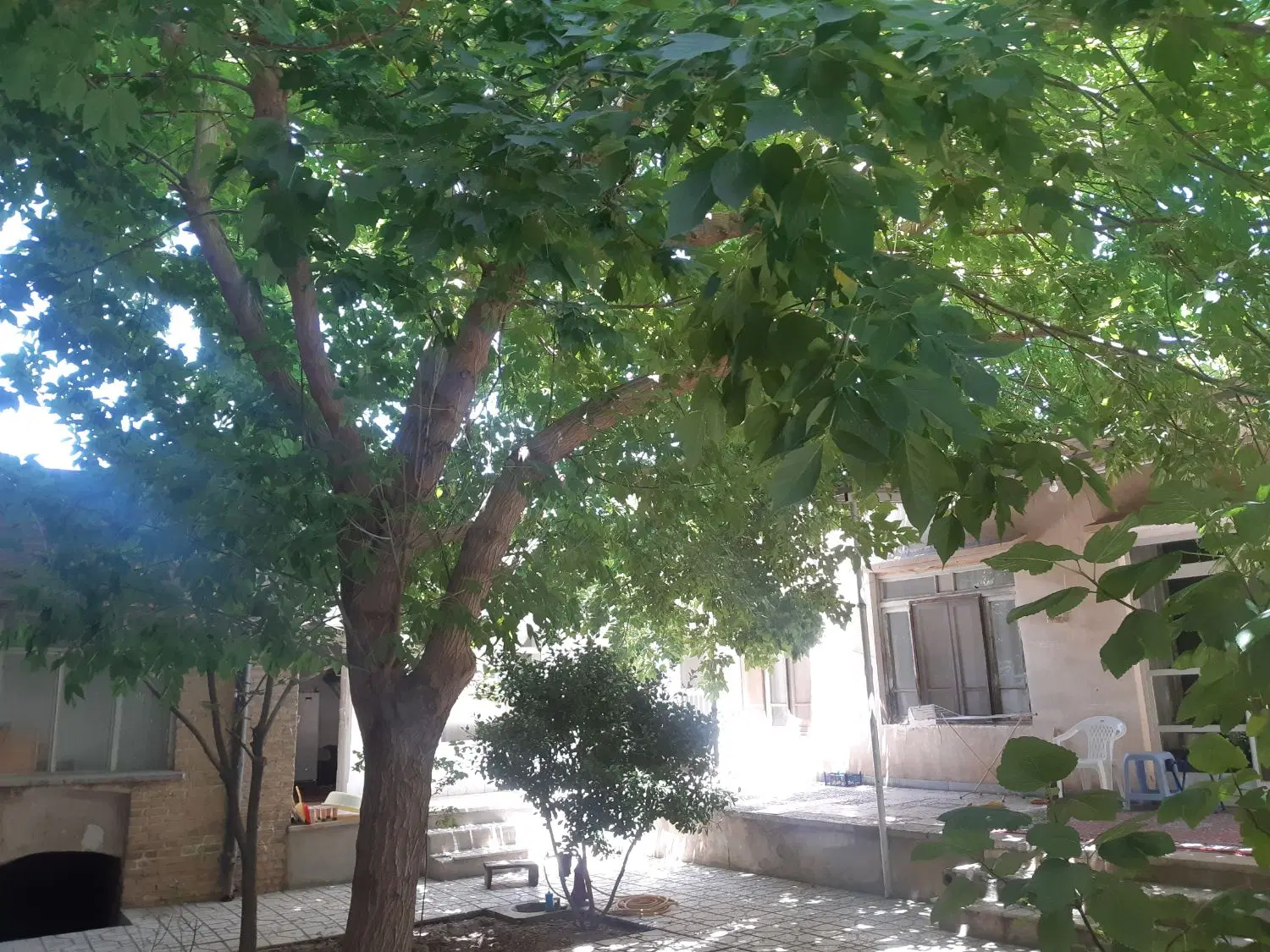 زمین کشاورزی