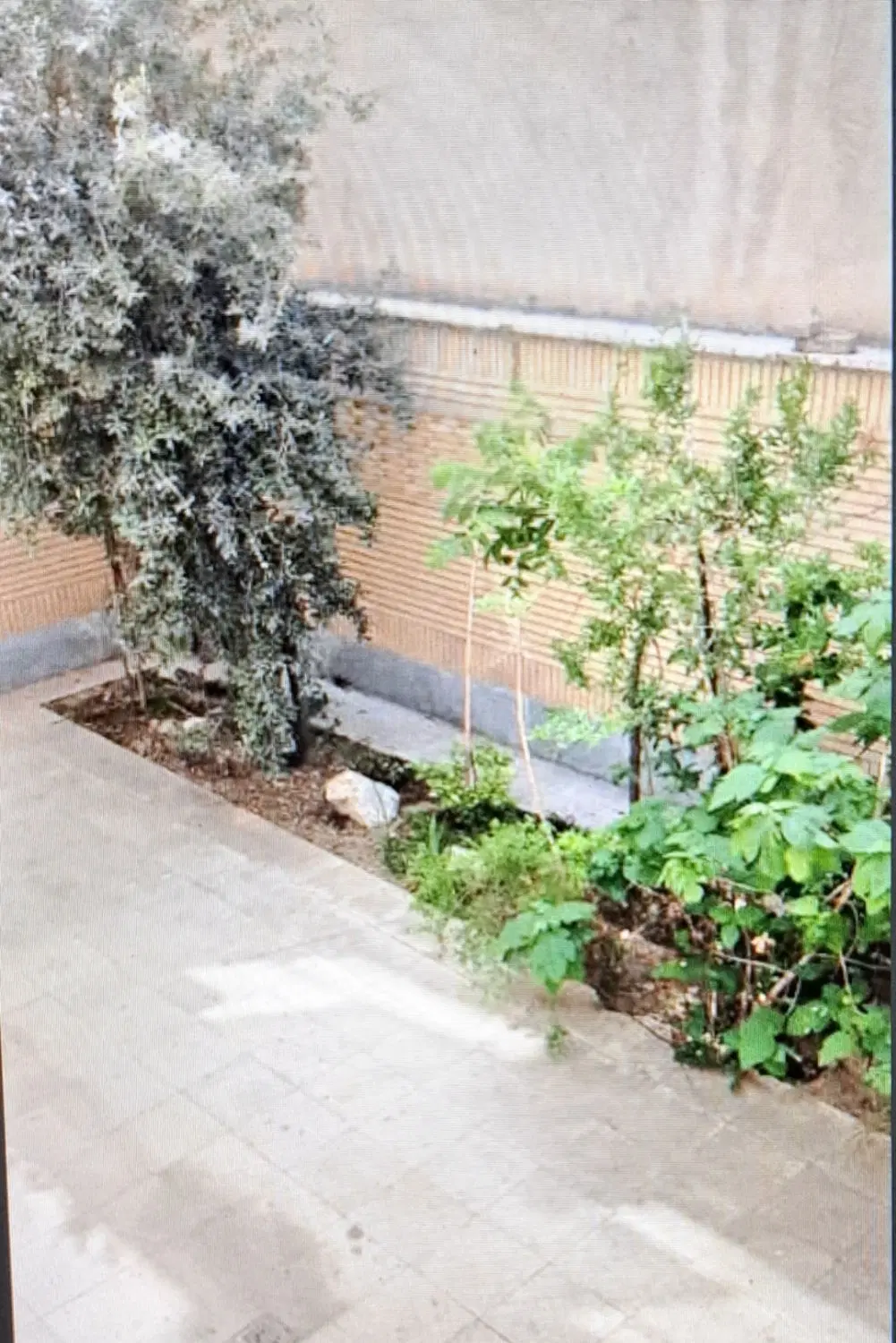 اجاره ۷۰ متر یک خواب مترو سرسبز