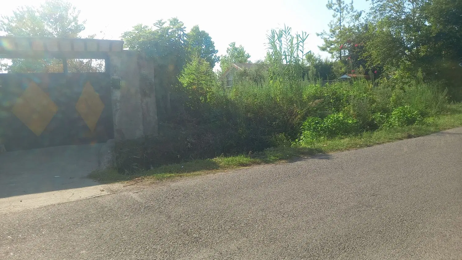 ۳۰۵ متر زمین مسکونی