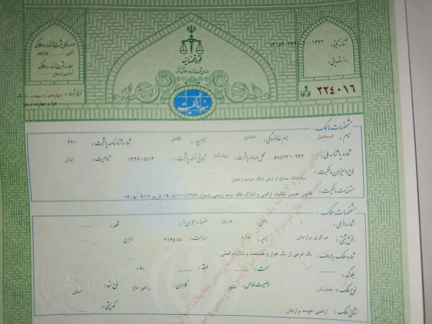 زمین نخلستان