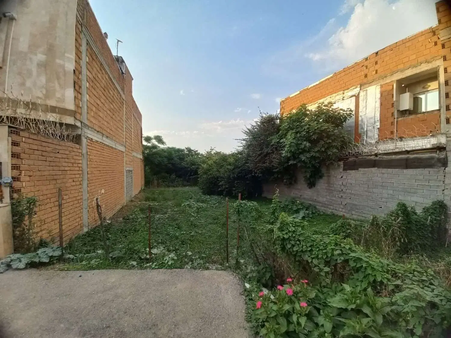 زمین مسکونی در کمربندی غربی
