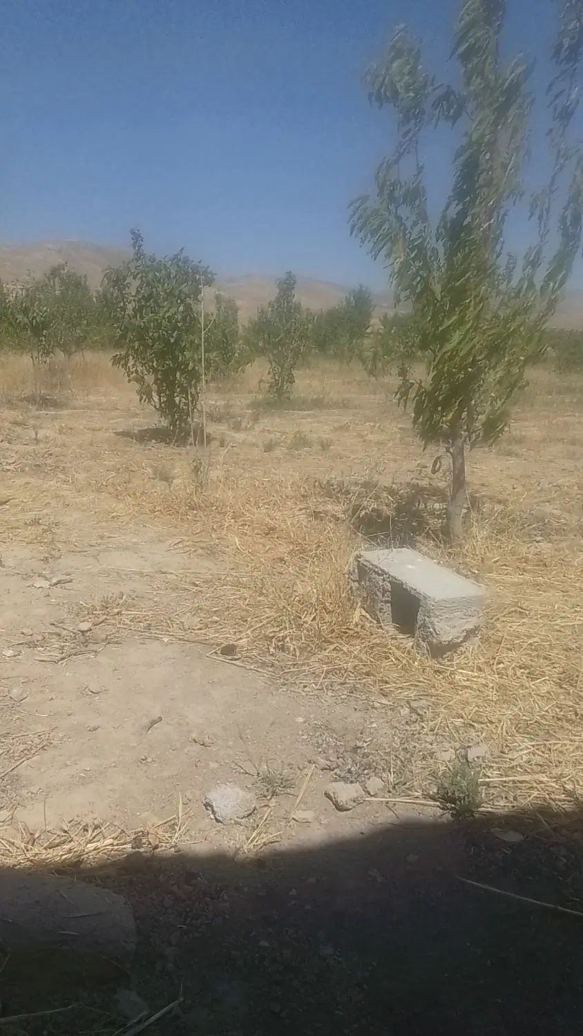با سلام باغ فروش