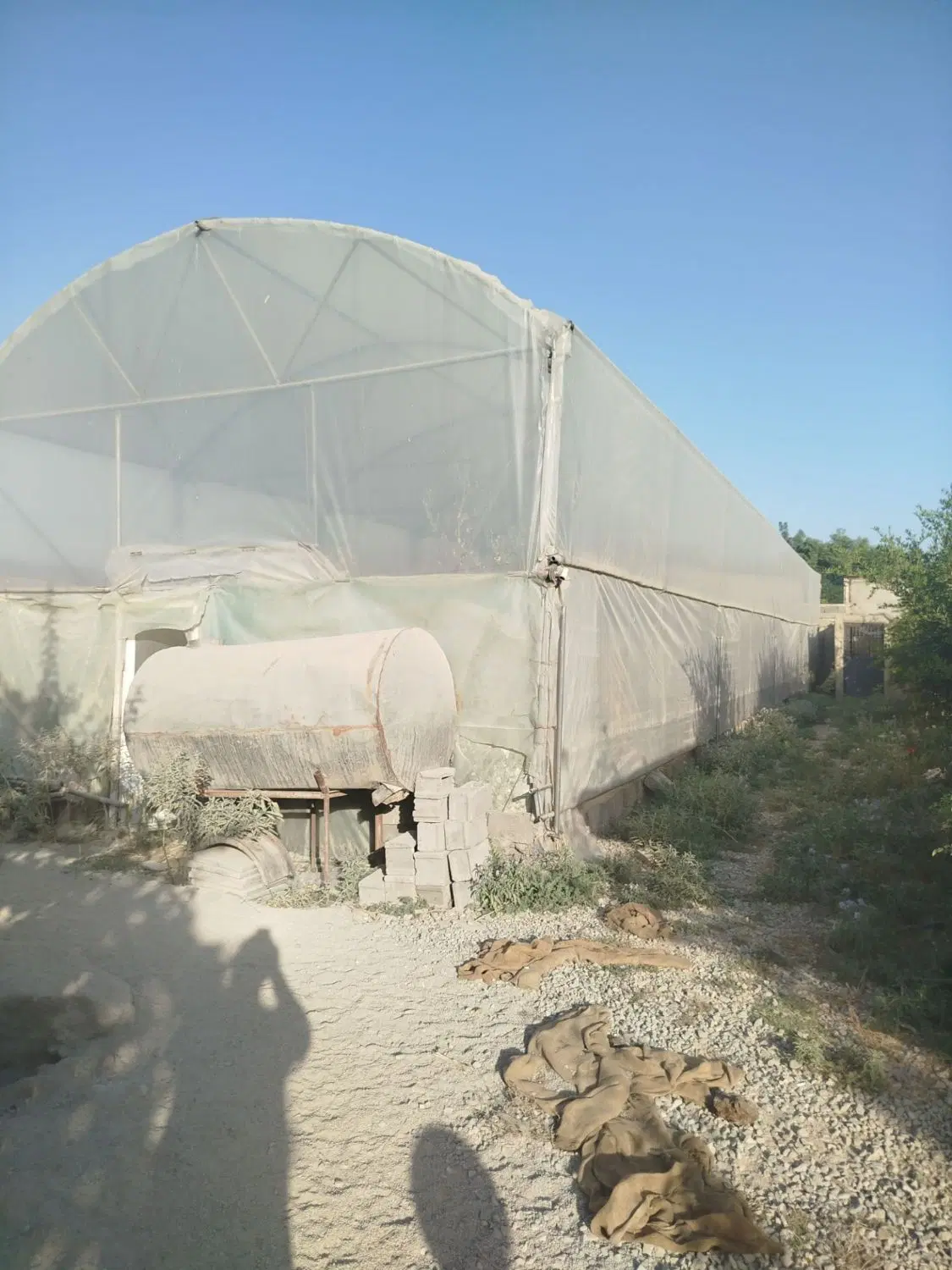 گلخانه دست دوم