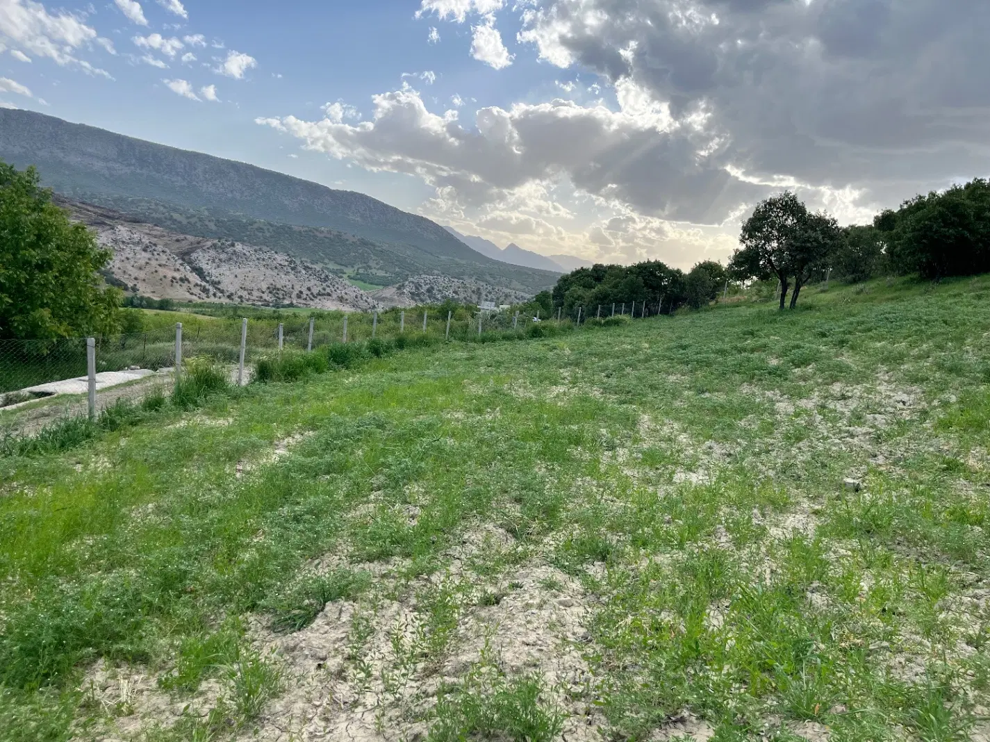 ۱۱۸۰ متر زمین باغ کاکارضا