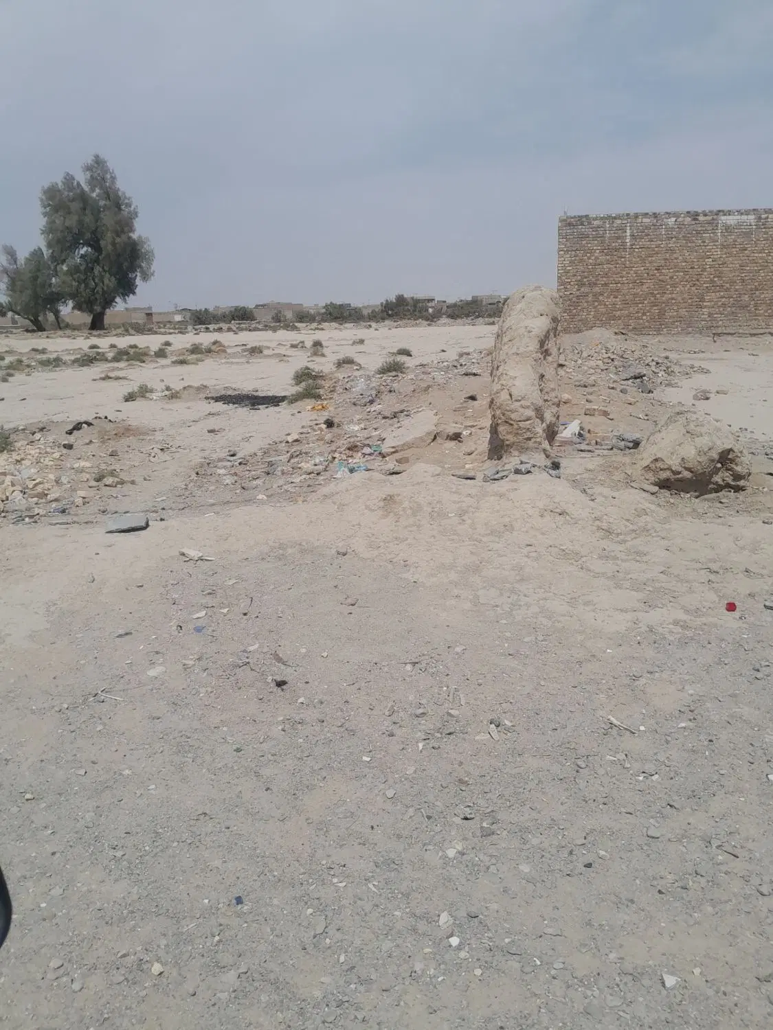 زمین ۲۵۰متر