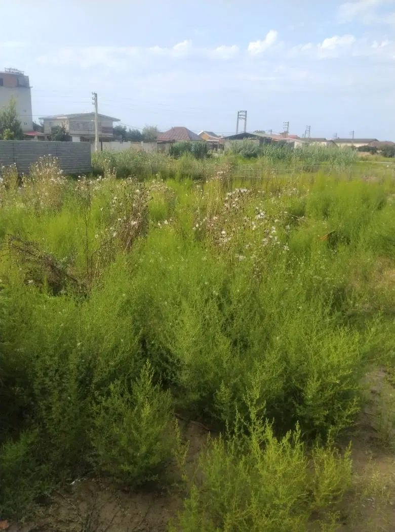 فروش زمین