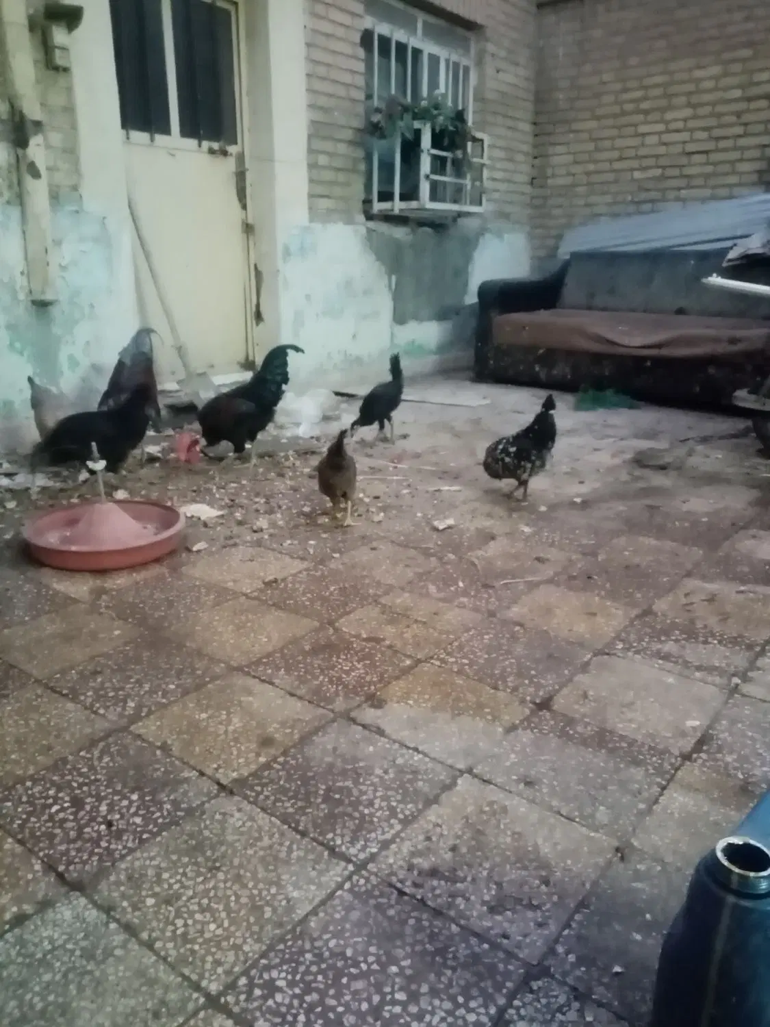 خونه کلنگی زمین 165 متر