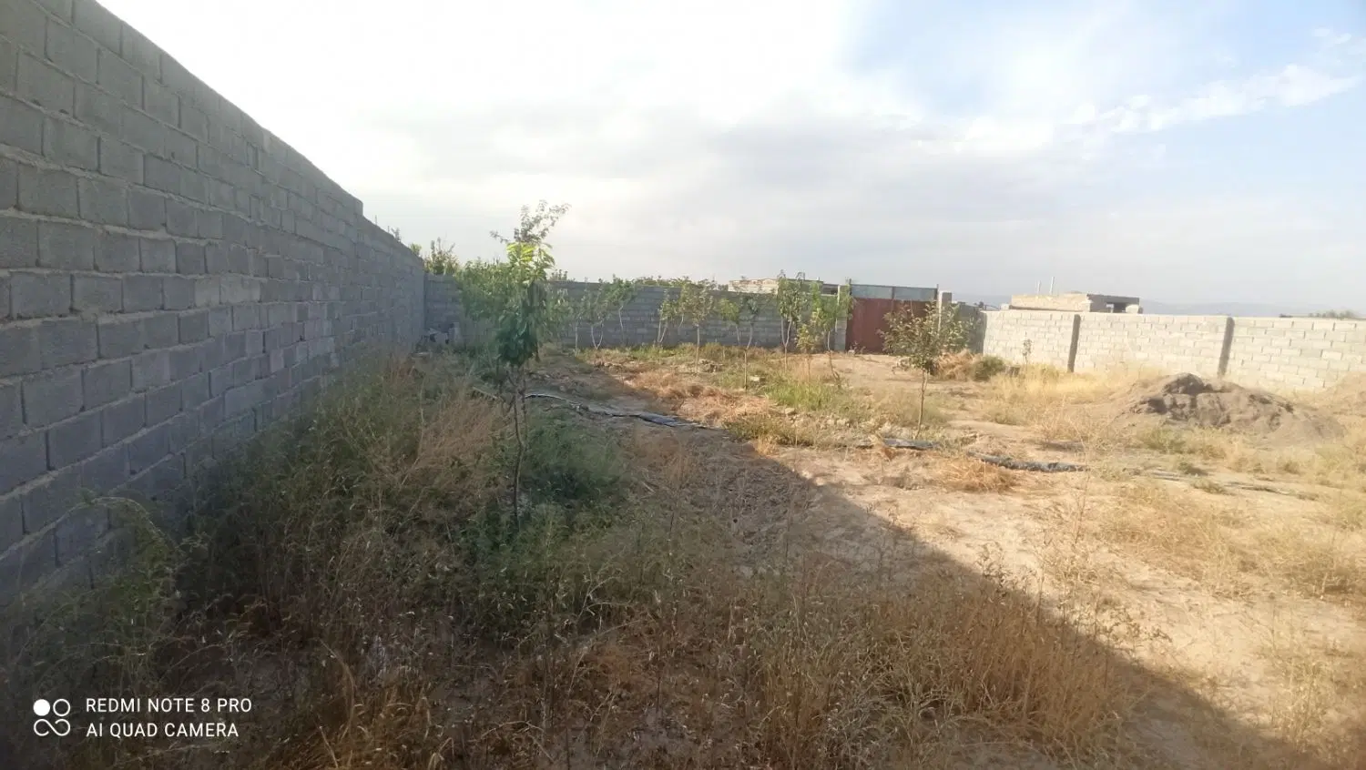 فروش زمین